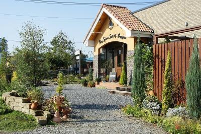 20111102-犬たち 837.jpg